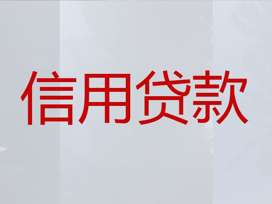 南昌县抵押担保贷款-银行信用贷款